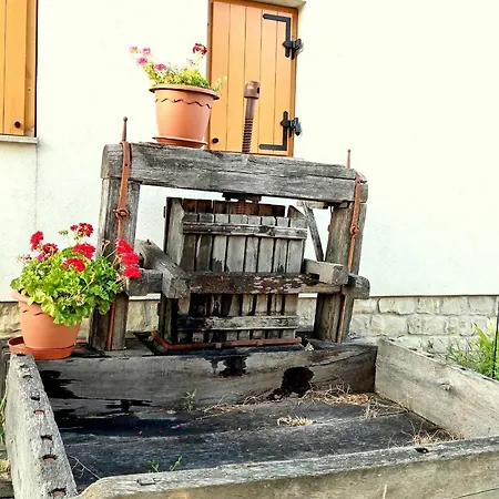 Balatoni Krokodil Vendeghaz Guest house Nemesvita