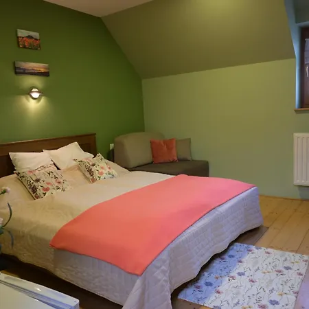 Balatoni Krokodil Vendeghaz Guest house Nemesvita