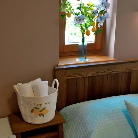 Balatoni Krokodil Vendeghaz Guest house Nemesvita