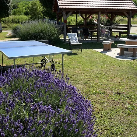 Guest house Balatoni Krokodil Vendeghaz 3*