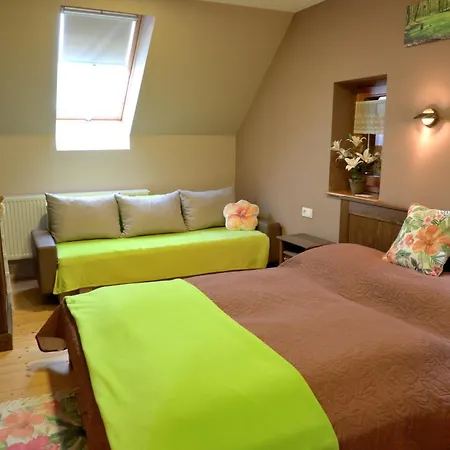 Balatoni Krokodil Vendeghaz Guest house 3*