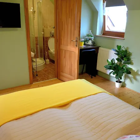 Guest house Balatoni Krokodil Vendeghaz 3*